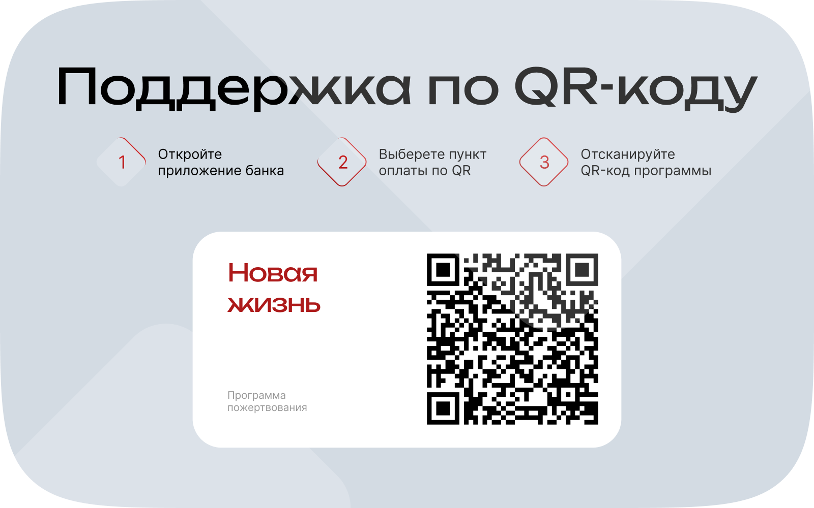 Новая жизнь
