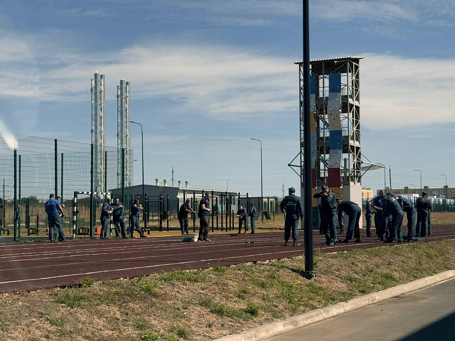 По зову сердца