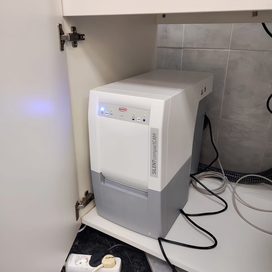 Новая жизнь