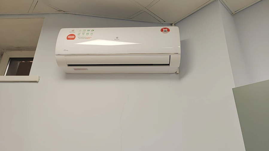 Новая жизнь