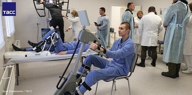 Новая жизнь