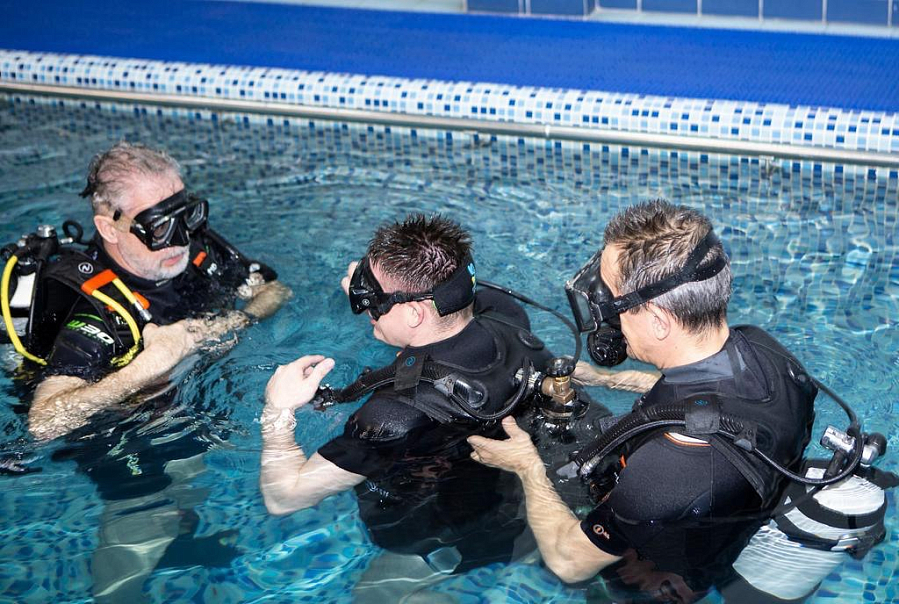 Новая жизнь